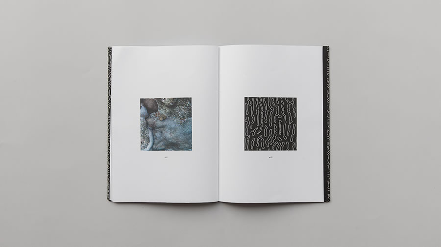 make-that-studio-metamorphosis-subgeometry-14