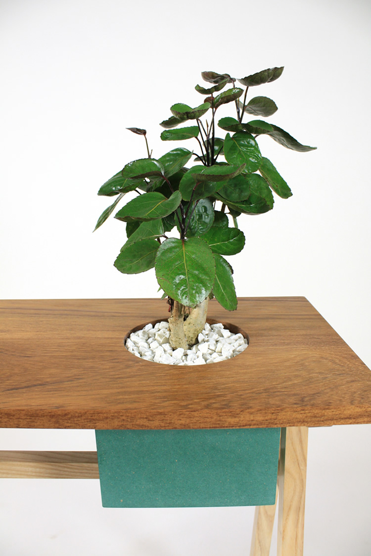 TPT--planter-table-pat-kim-design-03