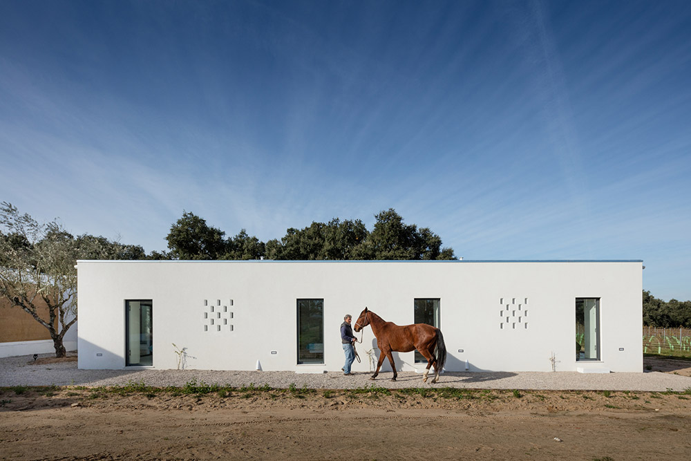 Vineyard-House-blaanc-02