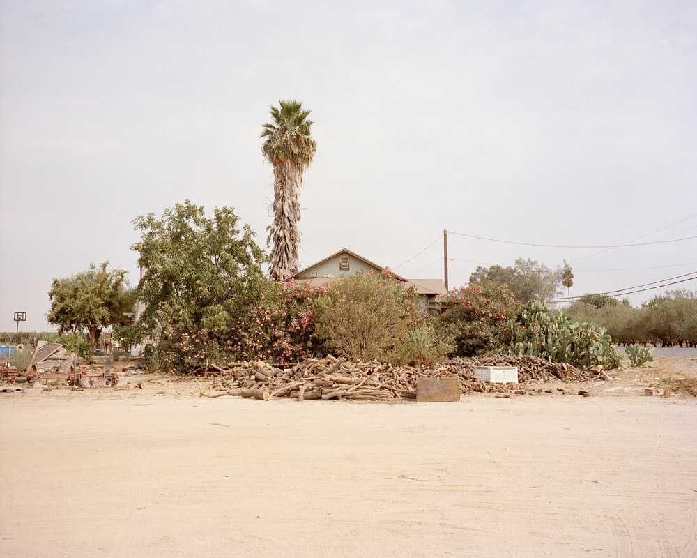 california-topiaries-marc-alcock-01