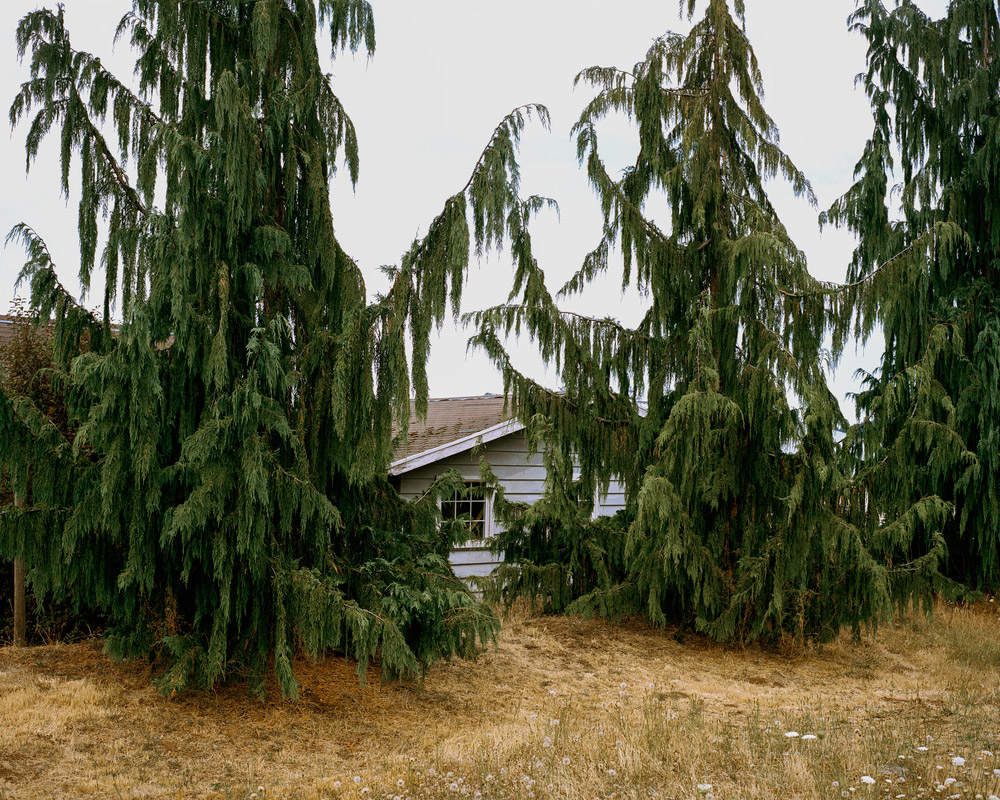 california-topiaries-marc-alcock-03