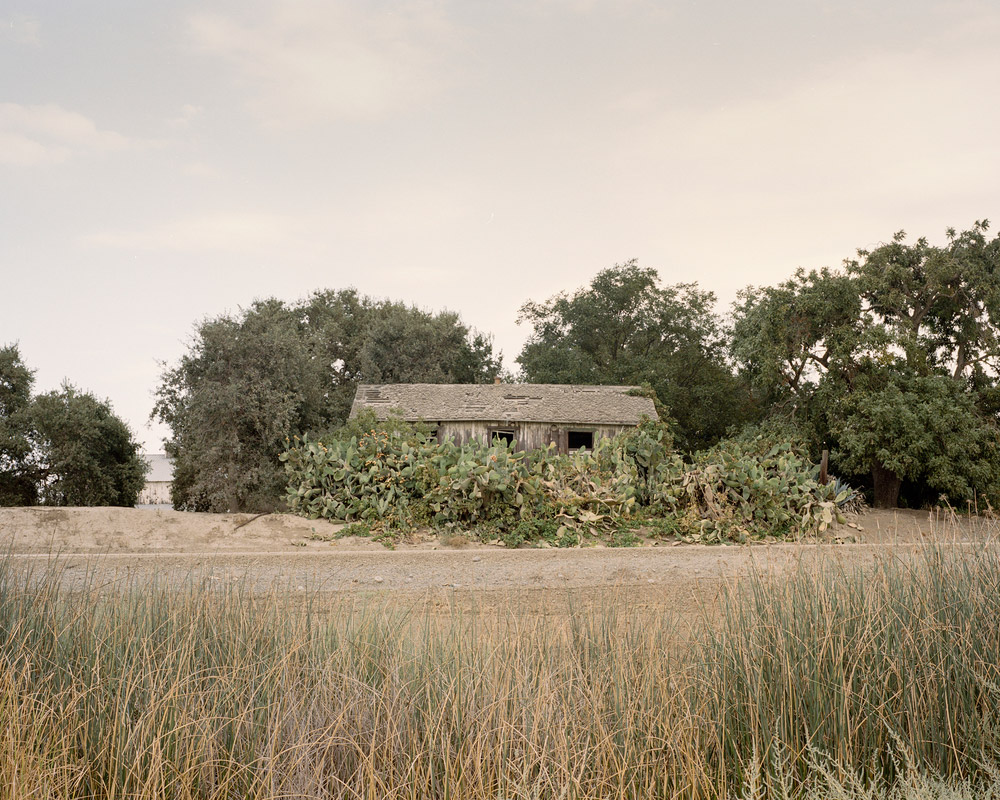 california-topiaries-marc-alcock-07