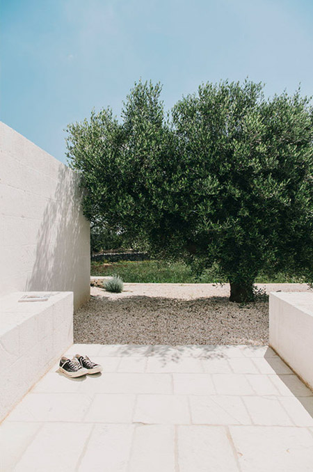 masseria-moroseta-andrew-trotter-10